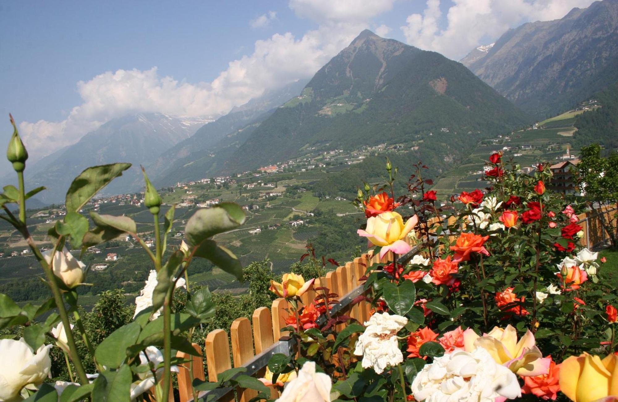 Hotel-garni Gartenheim 3* Schenna